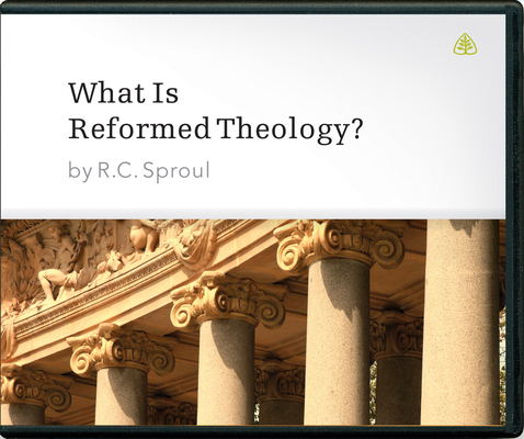 What Is Reformed Theology? 1567690939 Book Cover