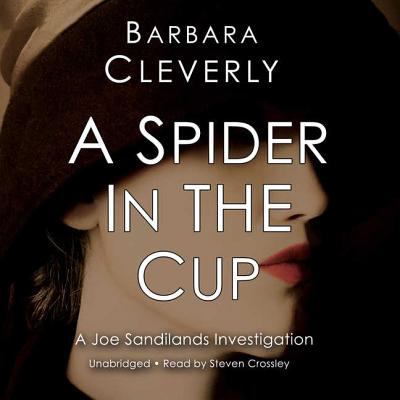 A Spider in the Cup 1624605907 Book Cover