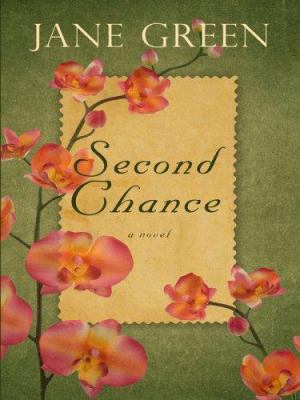 Second Chance [Large Print] 1597225657 Book Cover