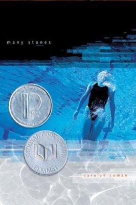 Many Stones 1886910553 Book Cover