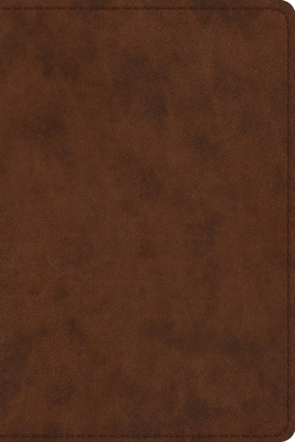 Study Bible-ESV-Personal Size 1433547627 Book Cover