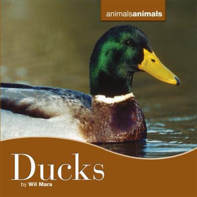 Ducks 0761429271 Book Cover