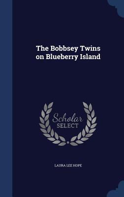 The Bobbsey Twins on Blueberry Island 1340218445 Book Cover