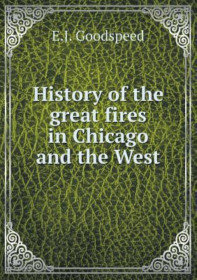 History of the great fires in Chicago and the West 5519001685 Book Cover