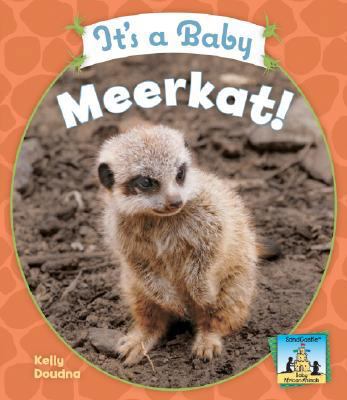 It's a Baby Meerkat! 1604531576 Book Cover