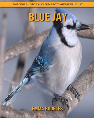 Paperback Blue Jay: Amazing Photos and Fun Facts about Blue Jay [Large Print] Book