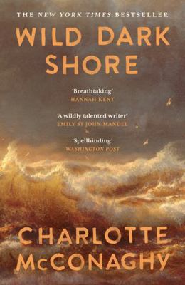 Wild Dark Shore B0FSJ7Y1RQ Book Cover