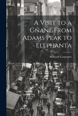 A Visit to a Gñani. From Adams Peak to Elephanta 1022209922 Book Cover