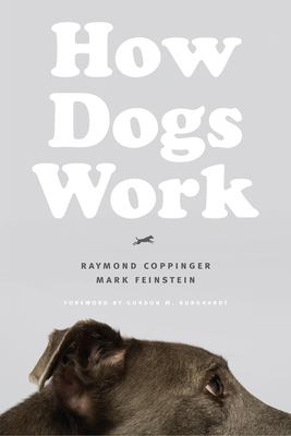 How Dogs Work 022663776X Book Cover