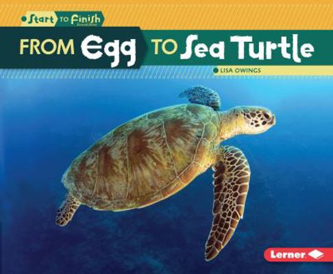 From Egg to Sea Turtle 1512418277 Book Cover
