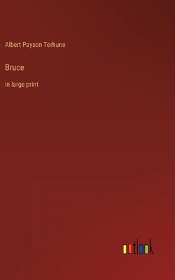 Bruce: in large print 336843117X Book Cover