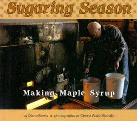 Sugaring Season: Making Maple Syrup 0876145543 Book Cover