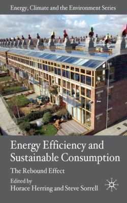 Energy Efficiency and Sustainable Consumption: ... 0230525342 Book Cover