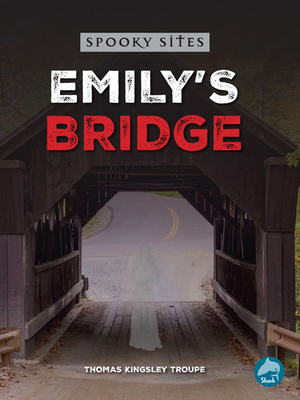 Emily's Bridge B0CZ7LJNF2 Book Cover