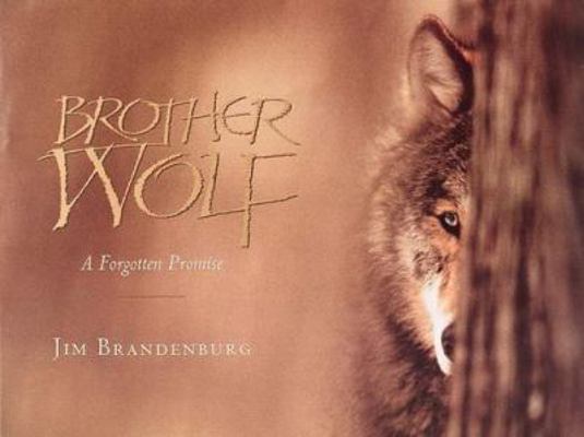 Brother Wolf: A Forgotten Promise 1559712104 Book Cover