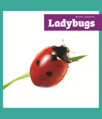 Ladybugs B0GN6FJ5M5 Book Cover
