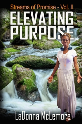 Elevating Purpose: Streams of Promise Vol II B0F79NM27G Book Cover