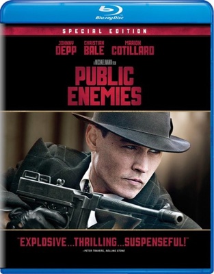 Public Enemies            Book Cover