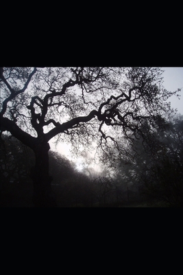 Darkness's Child B0D4J6NQ8N Book Cover