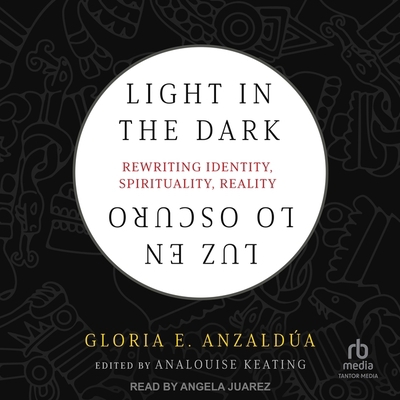 Light in the Dark/Luz En Lo Oscuro: Rewriting I... B0C8R4JBFC Book Cover
