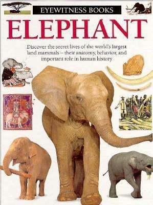 Elephant 067993880X Book Cover
