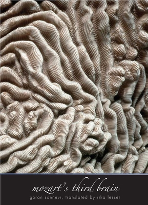 Mozart's Third Brain 0300181825 Book Cover