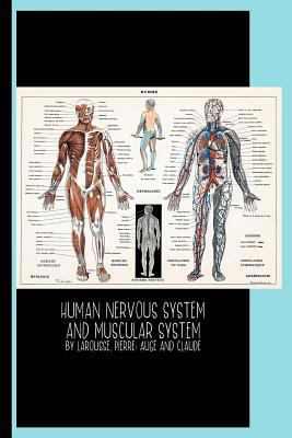 Human Nervous System and Muscular System (1900)... 1093453699 Book Cover