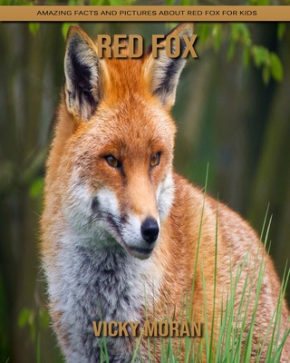 Paperback Red Fox: Amazing Facts and Pictures about Red Fox for Kids [Large Print] Book