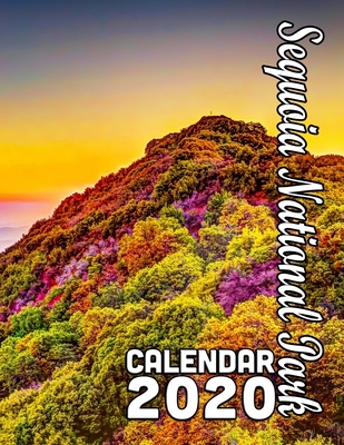 Sequoia National Park Calendar 2020: Beautiful ... 1711722480 Book Cover