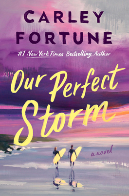 Our Perfect Storm 059395324X Book Cover