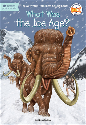 What Was the Ice Age? 060640502X Book Cover