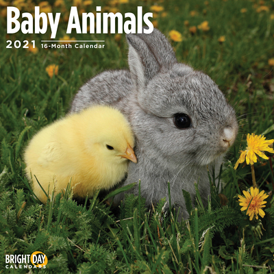 Cal 2021- Baby Animals Wall 1684603935 Book Cover