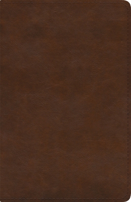 ESV Spanish/English Parallel Bible (La Santa Bi... [Spanish] 1433579669 Book Cover