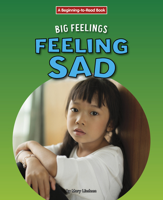 Feeling Sad 1684046661 Book Cover