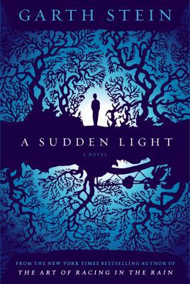 A Sudden Light 0857205757 Book Cover