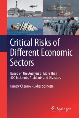 Critical Risks of Different Economic Sectors: B... 3030250334 Book Cover