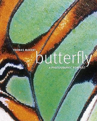 Butterfly: A Photographic Portrait 1405325402 Book Cover