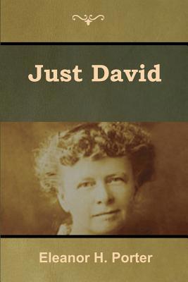 Just David 1618955241 Book Cover