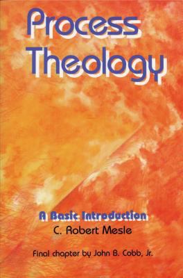 Process Theology: A Basic Introduction 0827229453 Book Cover