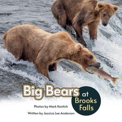 Big Bears at Brooks Falls 1964078369 Book Cover