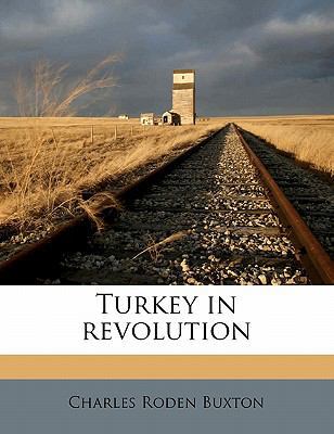 Turkey in Revolution 1177869772 Book Cover