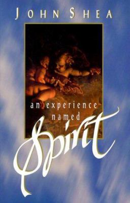 An Experience Named Spirit 0883472090 Book Cover