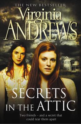 Secrets in the Attic 1847392253 Book Cover