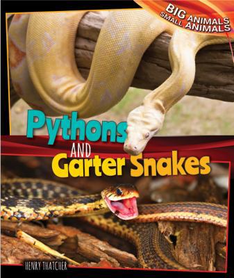 Pythons and Garter Snakes 147776111X Book Cover