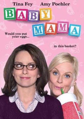 Baby Mama            Book Cover