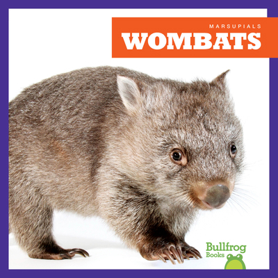 Wombats B0DCH2H7KM Book Cover