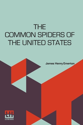 The Common Spiders Of The United States 9356144745 Book Cover