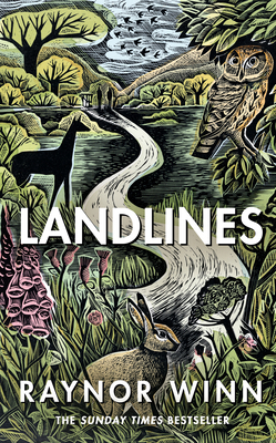 Landlines 0241484561 Book Cover