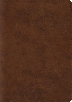 ESV Archaeology Study Bible (Trutone, Brown) 1433550415 Book Cover