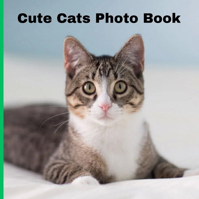 Cute Cats Photos Book B0FBK1Z2D2 Book Cover
